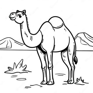 Camel Coloring Page 17639-14212