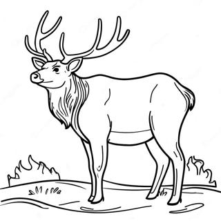 Elk Coloring Pages