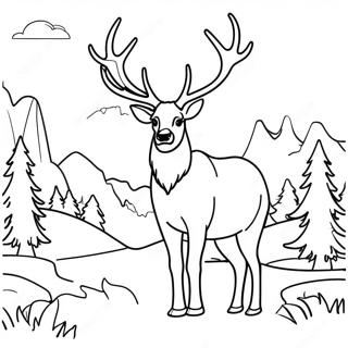 Majestic Elk In Forest Coloring Page 18470-14886