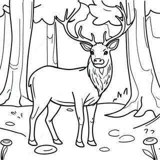 Majestic Elk In Forest Coloring Page 18470-14888