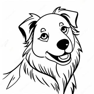 Australian Shepherd Coloring Page 18479-14882