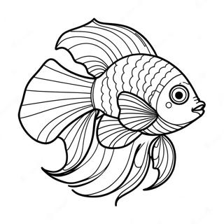 Beta Fish Coloring Pages