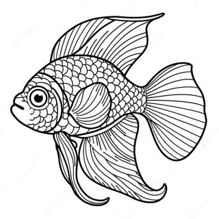 Beta Fish Coloring Page 18951-15264