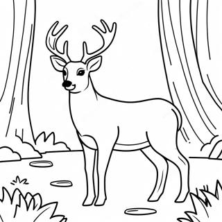 Buck Coloring Pages