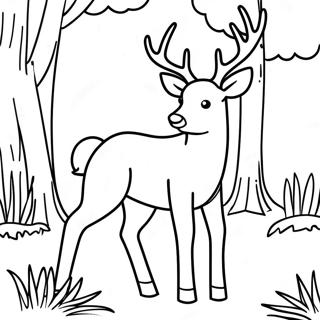 Buck Deer In A Forest Coloring Page 20171-16234