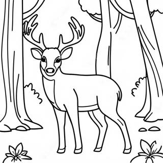 Buck Deer In A Forest Coloring Page 20171-16236