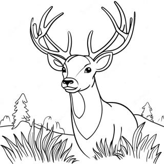 Majestic Buck With Antlers Coloring Page 20172-16237