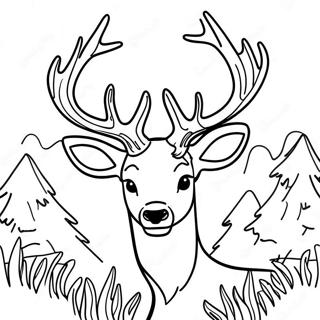 Majestic Buck With Antlers Coloring Page 20172-16240