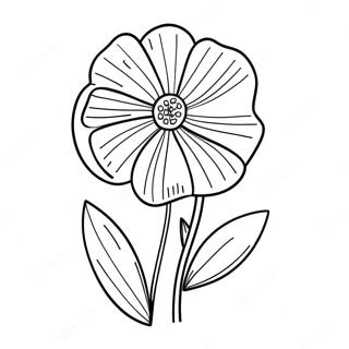 Buttercup Flower Coloring Page 20441-16447