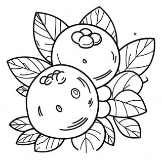 Blueberry Coloring Page 21291-17117