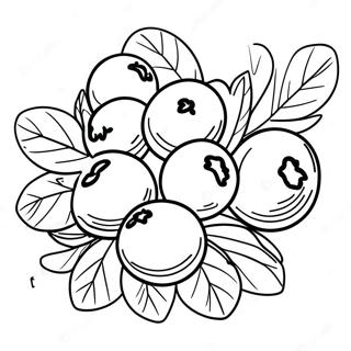 Blueberry Coloring Page 21291-17118