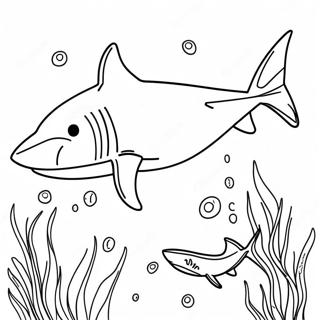 Great White Shark Coloring Page 21512-17299