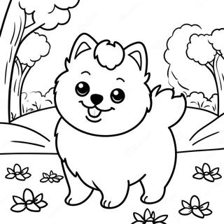 Fluffy Pomeranian Playing In The Park Coloring Page 21542-17321