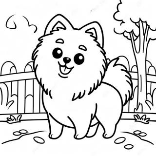 Fluffy Pomeranian Playing In The Park Coloring Page 21542-17322