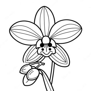 Orchid Coloring Pages