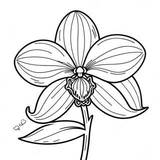 Orchid Flower Coloring Page 22311-17938