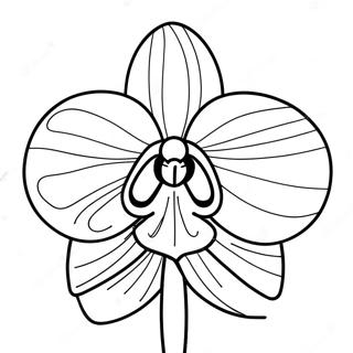 Orchid Flower Coloring Page 22311-17939