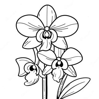 Orchid Flower Coloring Page 22311-17940