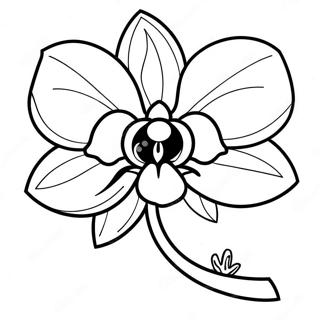 Orchid Coloring Pages