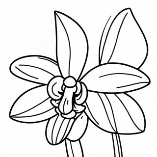 Exotic Orchid Coloring Page 22312-17935