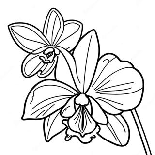 Exotic Orchid Coloring Page 22312-17936