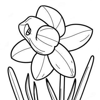 Daffodil Coloring Page 22351-17963