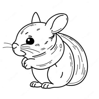 Chinchilla Coloring Pages