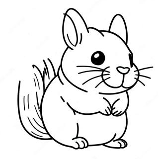 Chinchilla Coloring Page 23691-19034