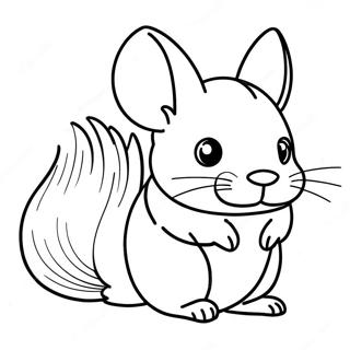 Chinchilla Coloring Page 23691-19036