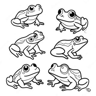 Colorful Life Cycle Of A Frog Coloring Page 24432-19627