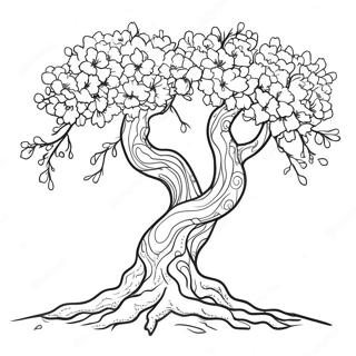 Cherry Blossom Tree Coloring Page 24921-20016