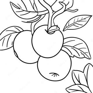 Sunny Apple Tree With Ripe Fruit Coloring Page 25062-20131