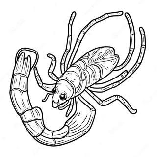 Scorpio Constellation Coloring Page 25562-20527