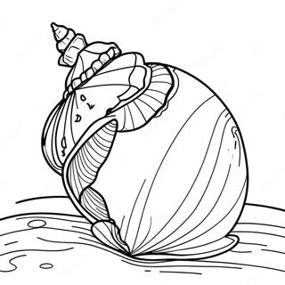 Seashell Coloring Pages