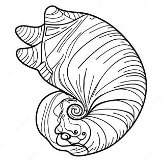 Seashell Coloring Page 2591-2115