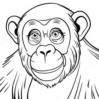 Chimpanzee Coloring Pages