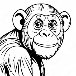 Chimpanzee Coloring Page 25951-20839