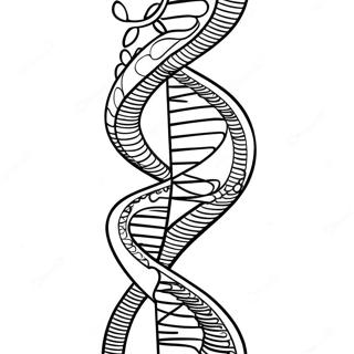 Dna Double Helix Coloring Page 26041-20916