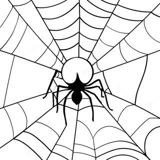 Spider Web Coloring Pages