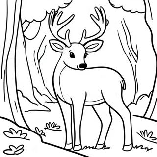 Realistic Buck Deer In Forest Coloring Page 26563-21321