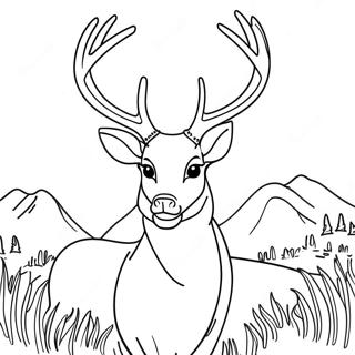 Majestic Buck Deer With Antlers Coloring Page 26564-21326