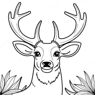 Majestic Buck Deer With Antlers Coloring Page 26564-21327