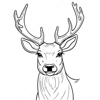 Majestic Buck Deer With Antlers Coloring Page 26564-21328