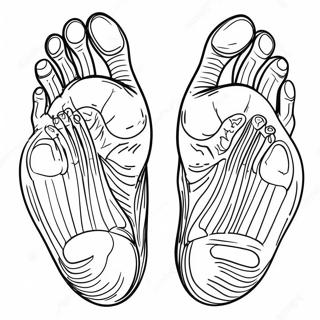 Foot Anatomy Coloring Page 28253-22644