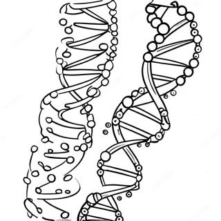 Dna Double Helix Coloring Page 29264-23445