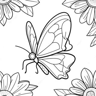 Silkwing Butterfly Coloring Page 29313-23483