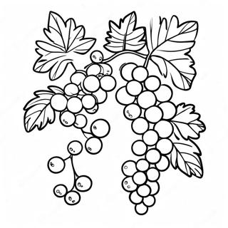 Vine Coloring Page 29513-23643