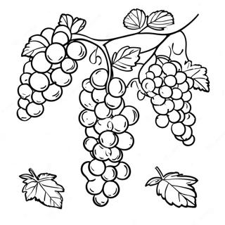 Vine Coloring Page 29513-23644