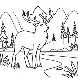 Wilderness Coloring Page 30053-24072