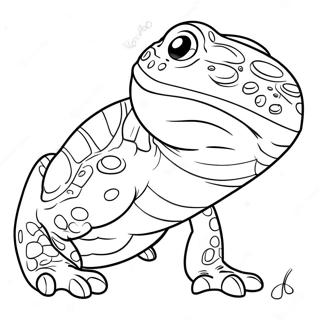 Salamander Coloring Page 30513-24434